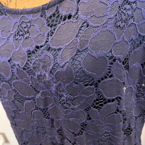 Navy Laced Overlay Dress - Picture 7 of 10